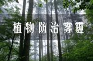 PM2.5有的治嗎？