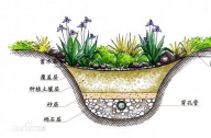 什么是雨水花園？雨水花園和普通花園有什么區別？