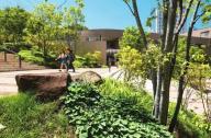 日本創價大學環球廣場景觀設計賞析